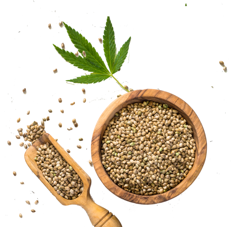 Best Hemp Seed Oil In India | Hemp Seed Oil Suppliers